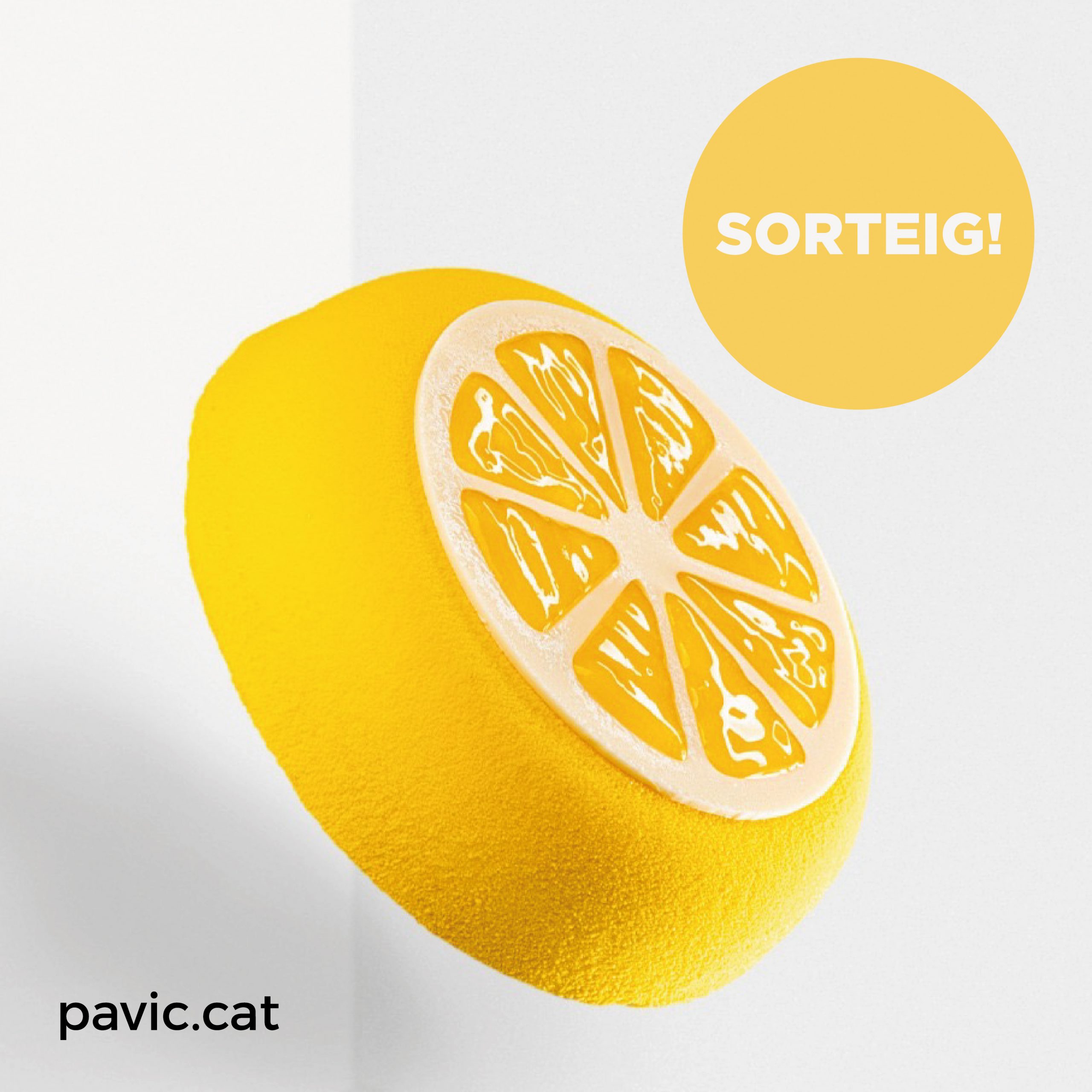 PaVic pastís sorteig 